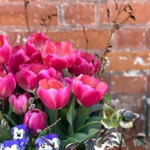 Meet your Posher, Trendy